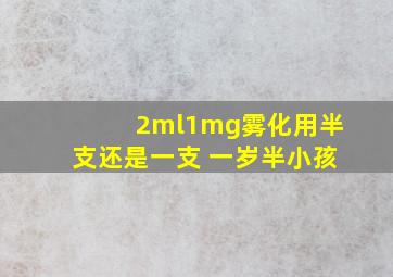 2ml1mg雾化用半支还是一支 一岁半小孩